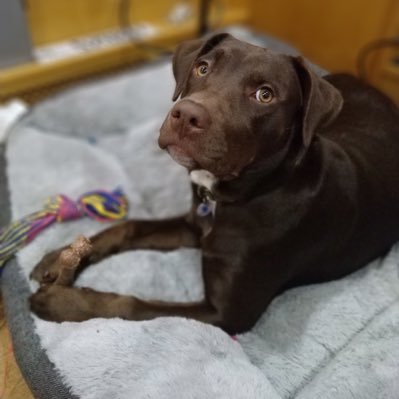 risg777's profile picture. 