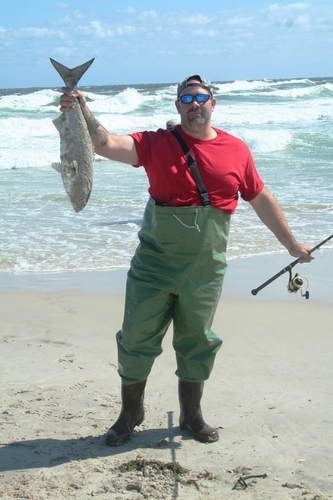 BettyandNicks's profile picture. 