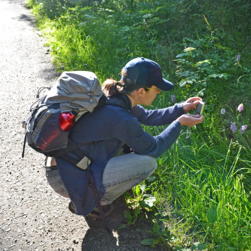 Software Development Scientist @CEMAC_Leeds, research software, demographic and life history approaches to conservation strategies. She/her.