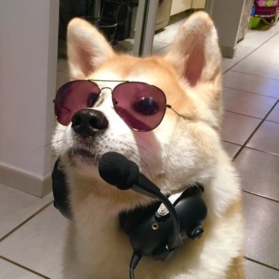 rimoflox's profile picture. #avgeek, private Pilot, Astrophoto & Senior Backend software engineer / CEO - La Noosphere. https://t.co/C37YKmCzpN 🇫🇷 🇺🇦