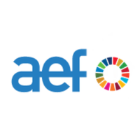 AEF Fundaciones(@AEF_fundaciones) 's Twitter Profile Photo