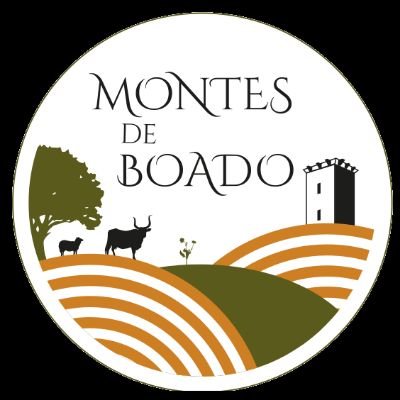 MontesdeBoado Profile Picture