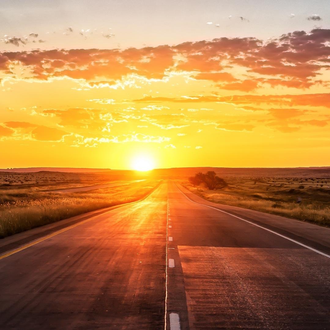 Simplet22139369's profile picture. just here for simple reasons