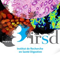 IRSD-Institut de Recherche en Santé Digestive (@irsdde) 's Twitter Profile