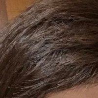 た (@sg8tyfkf8olgffc) 's Twitter Profile