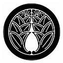 patriciamoribe's profile picture. Journalism, Photography, Arts