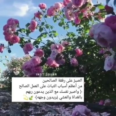 اللهم ارحمني إذا نسي اسمي وبُلي جسمي واندرس قبري ولم يزرني زائر ولم يذكرني ذاكر،سيعطيك ربك اكثر مما تستحق
