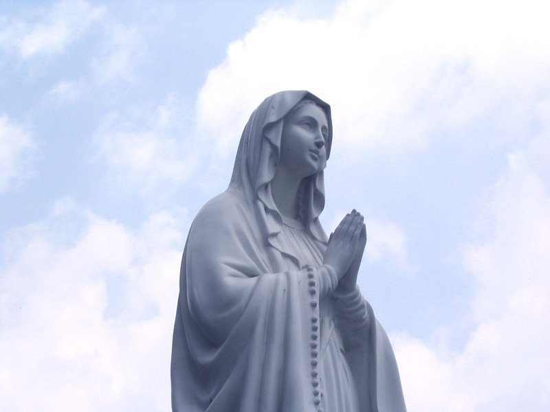 z_zmln's profile picture. IOBBVFFG