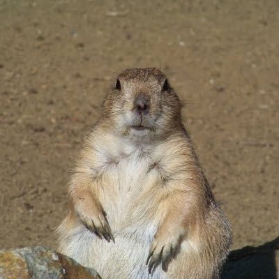 140_ki's profile picture. 