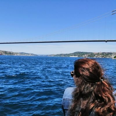 İzmir'in dağlarında çiçekler açar..
Kendi halinde trader.
Türkiye aşığı...