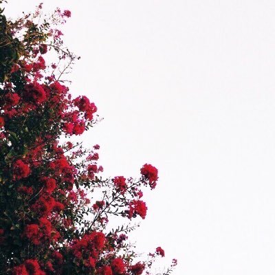H1010H's profile picture. ...