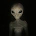 X-Files (@xfiles76918239) Twitter profile photo X-Files (@xfiles76918239) Twitter profile photo