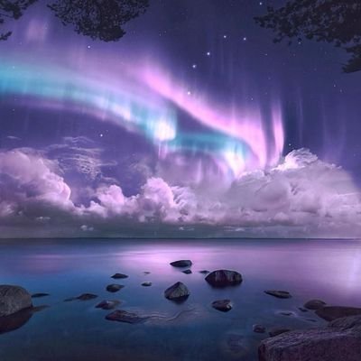 thankyounexxxxt's profile picture. 🇩🇿