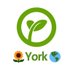 York Young Greens 🌱 (@YorkYoungGreens) Twitter profile photo