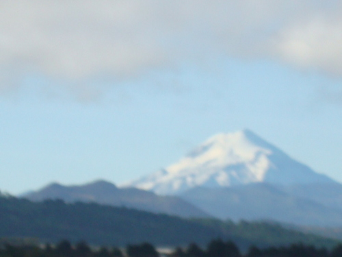 gaburtodiaz's profile picture. hola soy campesino, con estudios en contaduría, trabajo para una mutualidad funeraria aquí en mi ciudad soy aficionado al cine de ficcion, teatro, deportes, mas