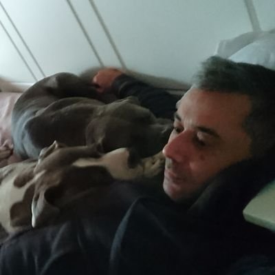 cmgkts's profile picture. 