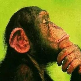 balaque86's profile picture. No worst no better Friend