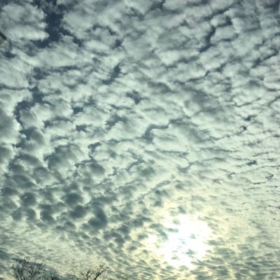 Jedi11's profile picture. Chaotic good