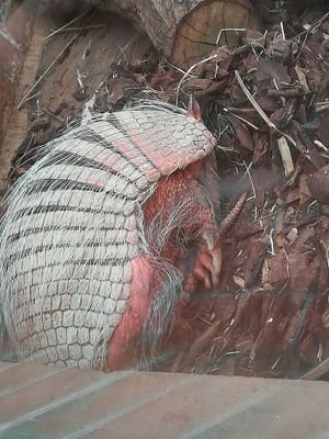 flottikowski's profile picture. 