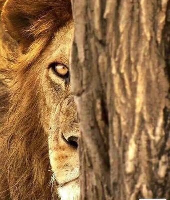 Ferdi09392955's profile picture. 