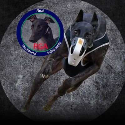 Greyhound advocates having combined hands on experience with thousands of greyhounds from birth through retirement. Know the breed before determining its need.