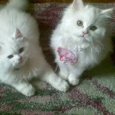 Wi8Du5Nn6dNvlPC's profile picture. 