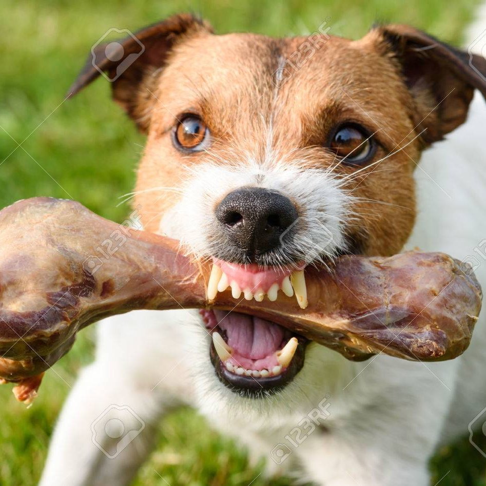 laytoback's profile picture. Persistent/Boring Fucker