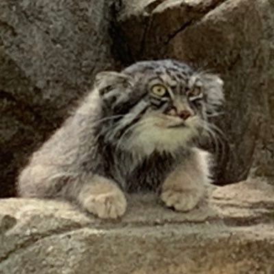 カモメさんのプロフィール画像