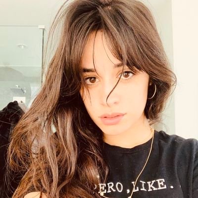 Camila Cabello & Lauren Jauregui

[fan account]