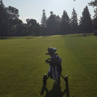 Scott G (@20gdawg) 's Twitter Profile