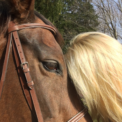 carmncj's profile picture. 