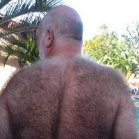 BostonBearPig (@pig_boston) 's Twitter Profile