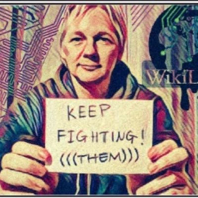 #FreeJulianAssangeNOW #FreeChelseaManning #FreeJeremyHammond #Unity4J #ImWithWikiLeaks #NoExtradition #BlockQanon