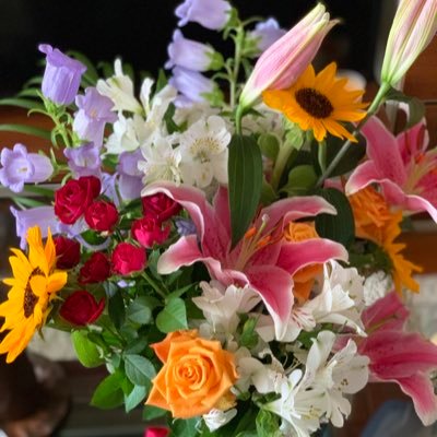 makogenki's profile picture. 🐨🐹🐱🐿️🐥🐻🐰💜