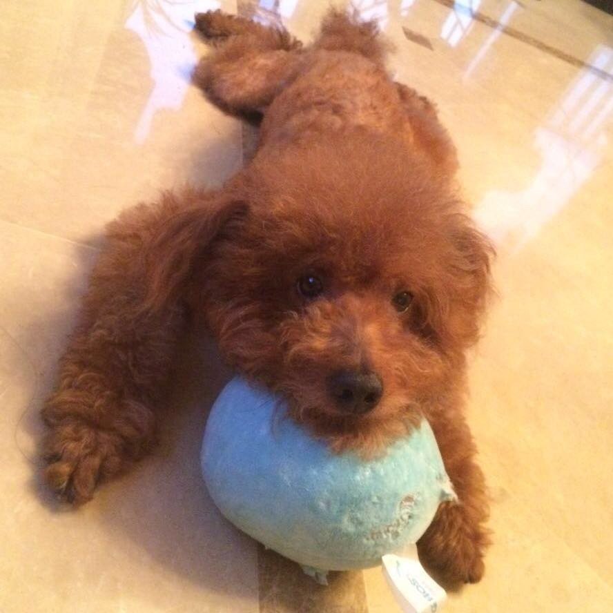 VvvvXys's profile picture. University of Michigan | Chemistry | PhD candidate | Montgomery Lab