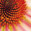 Nikki Akers - @nikki72902 - Twitter