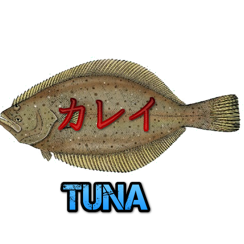 ほっけさんのプロフィール画像