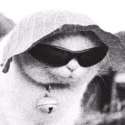 Alexkleyva's profile picture. Coder Forever 
Siempre juntos siempre