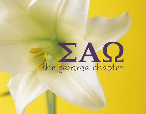 SAOgamma's profile picture. http://t.co/5Wx4ZuNoGj