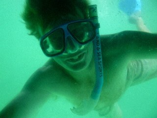 gwynnedog73's profile picture. 