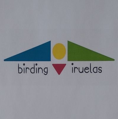 Observación de Aves. Photobirding. Hides y Rutas de Birding  en la Reserva Natural Valle de Iruelas