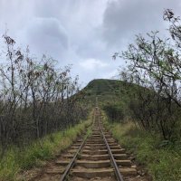 JumpsCoach_Lulham (@snc54000012) 's Twitter Profile