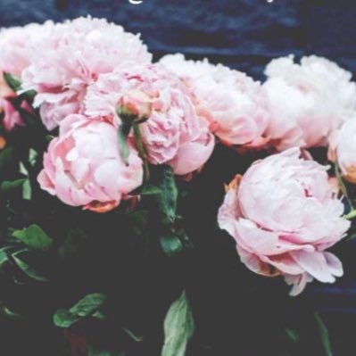 لا شيء يعود كالسابق كُن حذراً قبل أن تكسر شيئاً جميلاً 🌸
