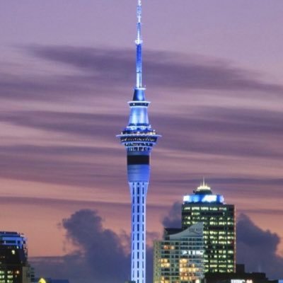 geelongpremiers's profile picture. 