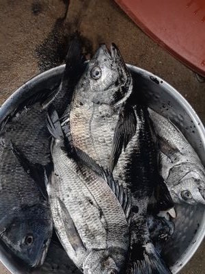 pncp7rTCO9erNhu's profile picture. 안녕하세요