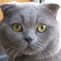 李海 (@lihai54) 's Twitter Profile