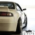 Hellaflush (@Hellaflush) Twitter profile photo