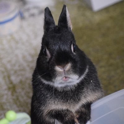 mi_r_8's profile picture. ごちゃ混ぜな場所