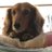 APPLE51947970's profile image