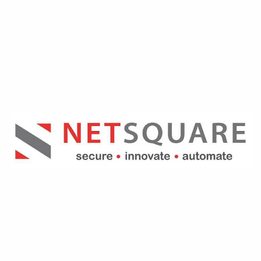 Net Square Solutions Pvt. Ltd. Profile
